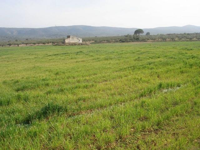 Terreno en venta en Montsià, Catalunya