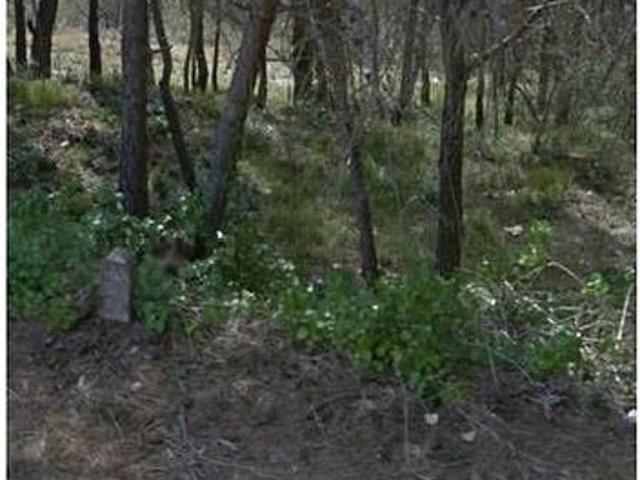 Terreno en venta en La Bisbal Del Penedès