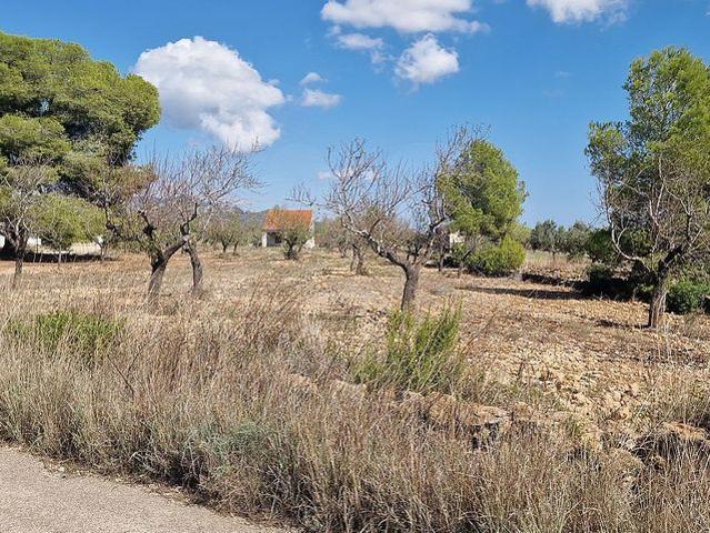 Terreno en venta en el Pont, l'Ametlla de Mar