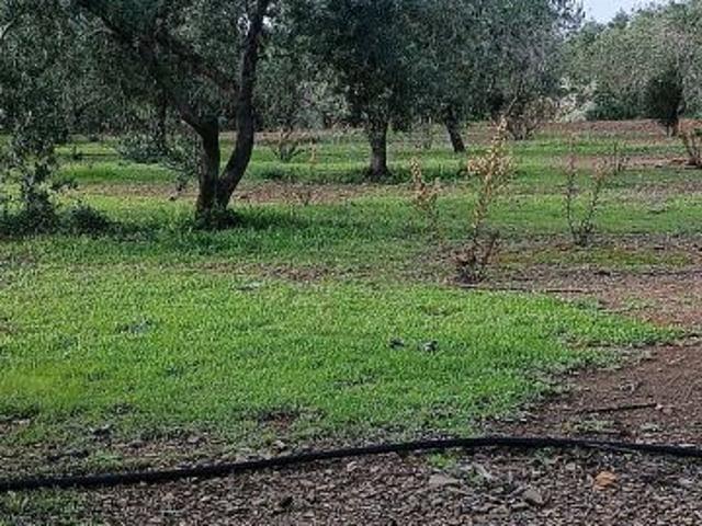Terreno en venta en Reus, Tarragona