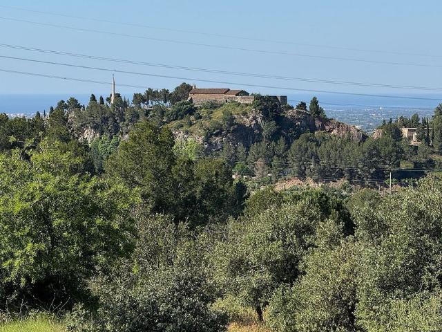 Terreno en venta en Castellvell Del Camp