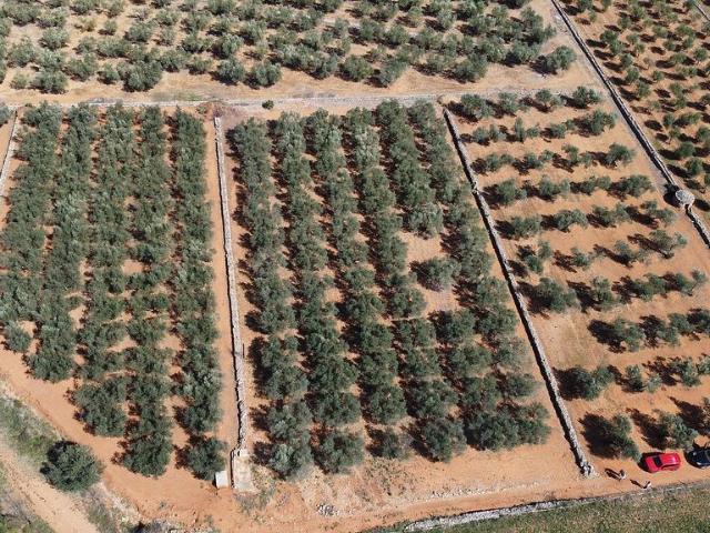 Terreno en venta en Montsià, Catalunya