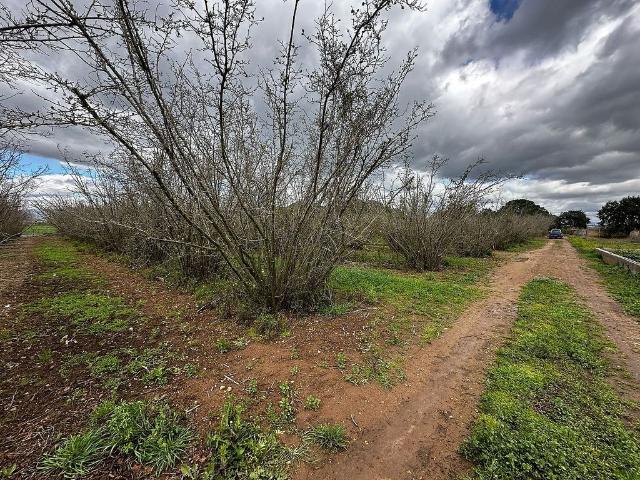 Terreno en venta en El Morell