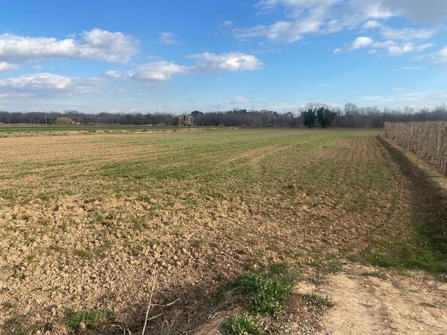 Terreno en venta en Balaguer