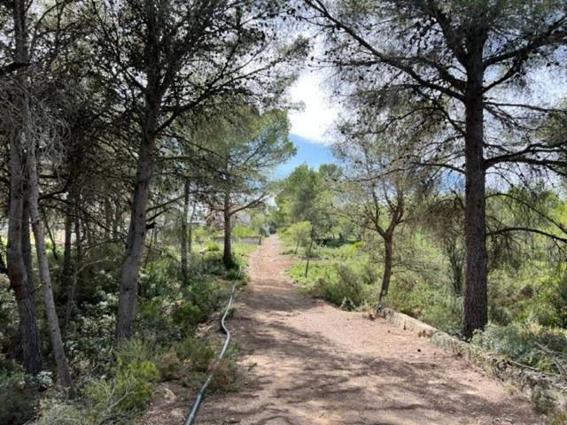 Terreno en venta en Alt Camp, Catalunya
