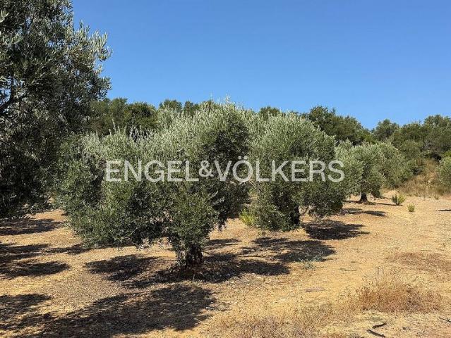 Terreno en venta en Alt Empordà, Catalunya