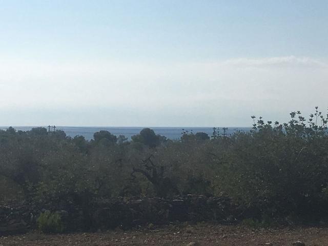 Terreno en venta en els Racons, Baix Ebre