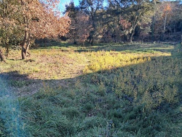 Terreno en venta en la Selva, Catalunya