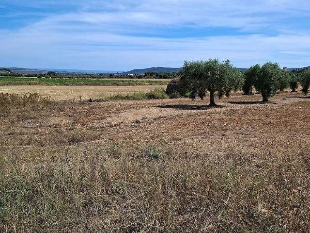Terreno en venta en Baix Penedès, Catalunya