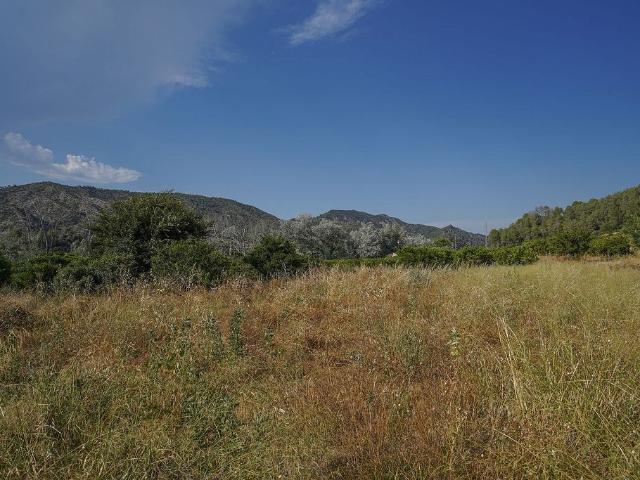 Terreno en venta en Benifallet, Tarragona