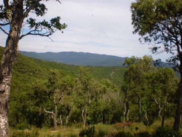 Terreno en venta en Platja d'Aro, Castell d'Aro, Platja d'Aro i s'Agaró