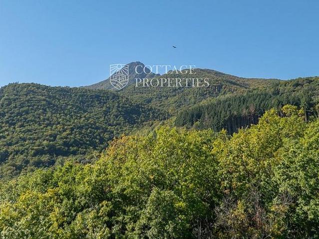 Terreno en venta en la Selva, Catalunya