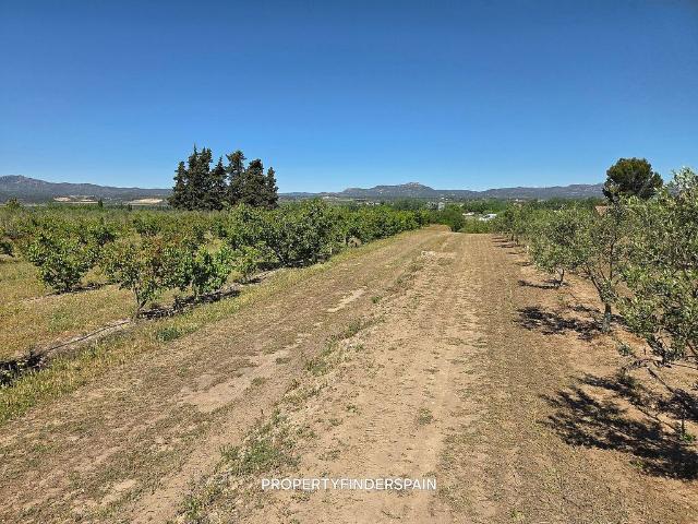 Terreno en venta en Ribera d'Ebre, Catalunya