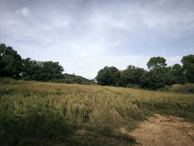 Terreno en venta en Berguedà, Catalunya