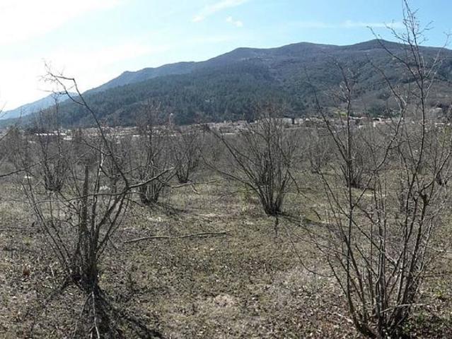 Terreno en venta en la Selva, Catalunya