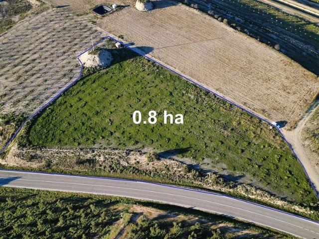 Terreno en venta en Garrigues, Catalunya