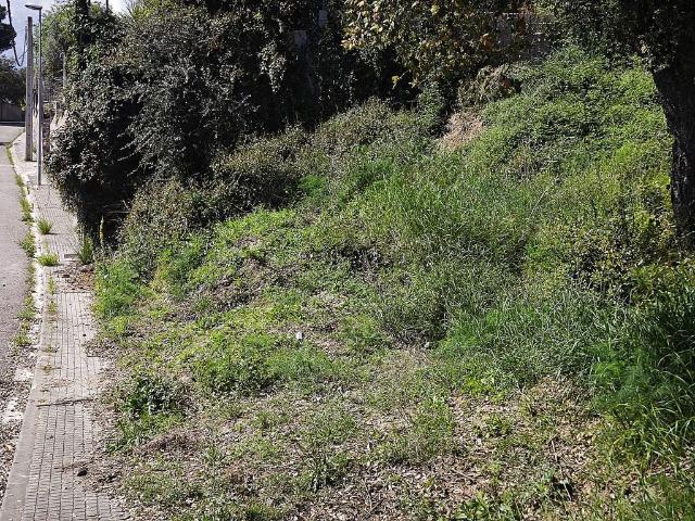 Terreno en venta en Riudarenes