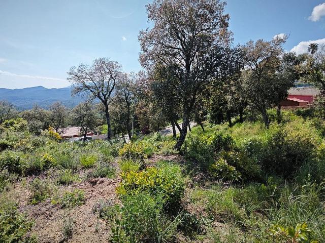 Terreno en venta en la Selva, Catalunya