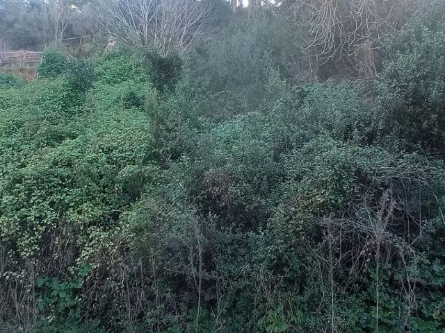 Terreno en venta en Cervelló