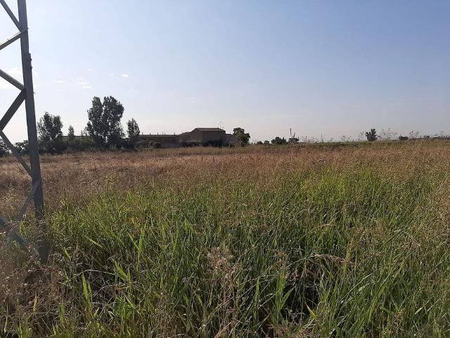 Terreno en venta en Pla d'Urgell, Catalunya