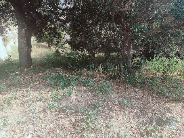 Terreno en venta en Sant Fost De Campsentelles, Barcelona