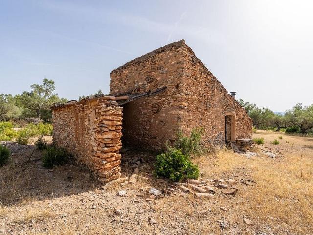 Terreno en venta en Baix Ebre, Catalunya