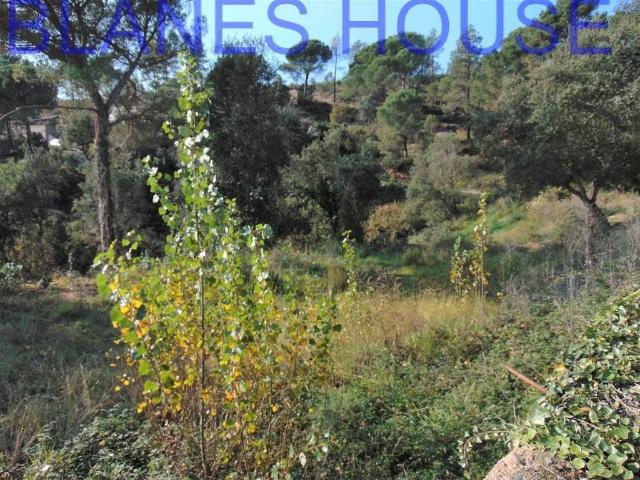 Terreno en venta en la Selva, Catalunya