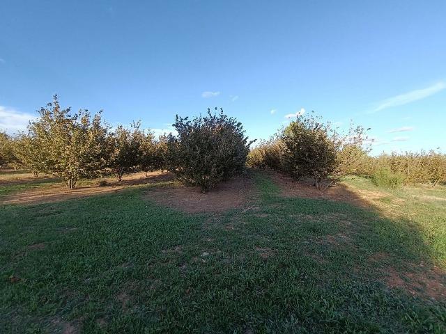 Terreno en venta en Alt Camp, Catalunya