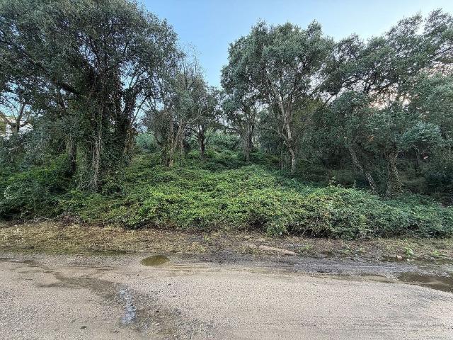 Terreno en venta en Castell d'Aro, Platja d'Aro i s'Agaró, Baix Empordà