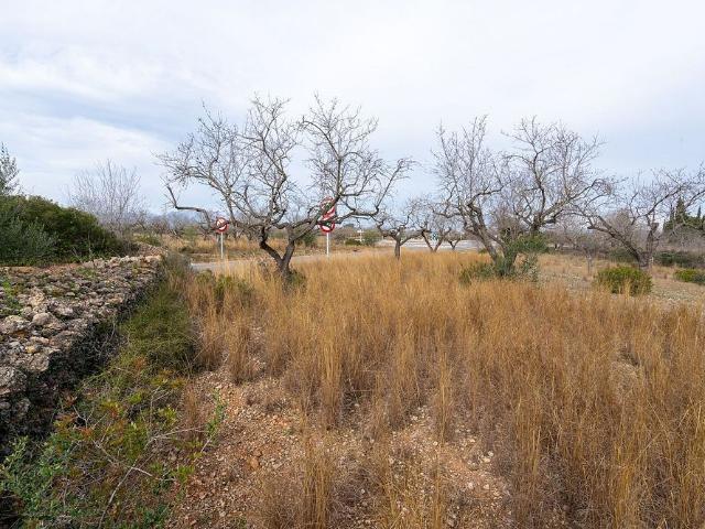 Terreno en venta en Montsià, Catalunya
