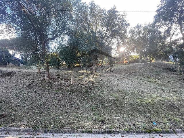 Terreno en venta en la Selva, Catalunya
