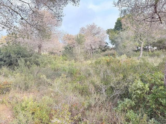Terreno en venta en el Mirador del Penedès, Baix Penedès