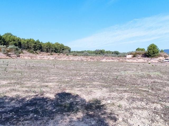 Terreno en venta en Móra d'Ebre, Tarragona