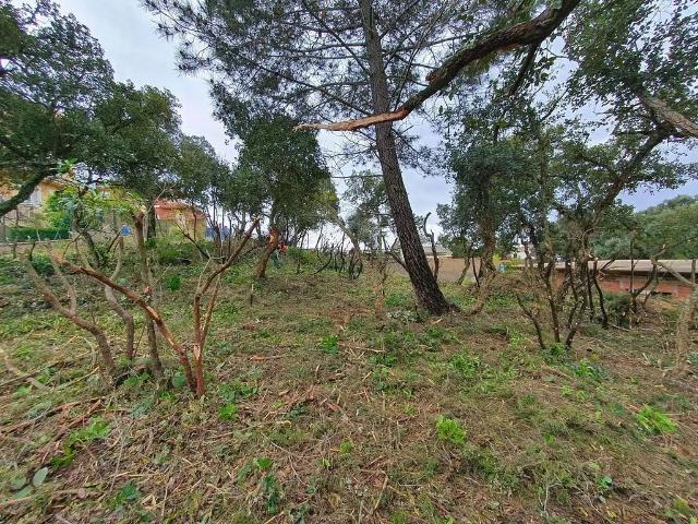 Terreno en venta en la Selva, Catalunya