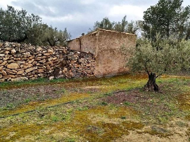 Terreno en venta en Ginestar, Tarragona