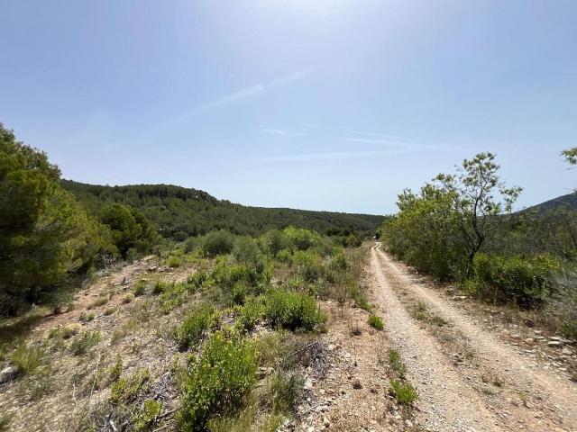 Terreno en venta en Baix Camp, Catalunya