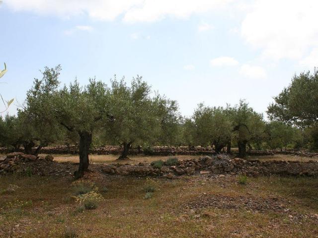 Terreno en venta en Baix Ebre, Catalunya