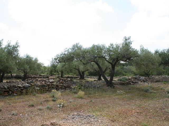 Terreno en venta en Baix Ebre, Catalunya