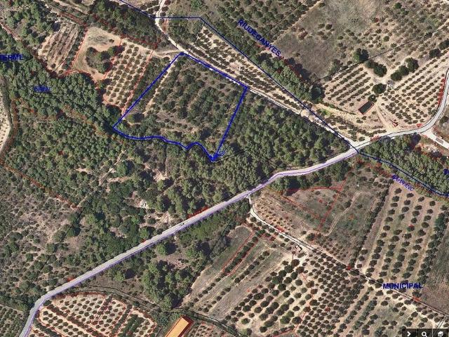 Terreno en venta en Baix Camp, Catalunya