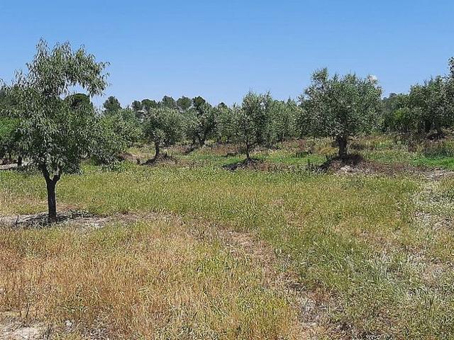 Terreno en venta en Garrigues, Catalunya