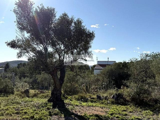 Terreno en venta en Baix Ebre, Catalunya