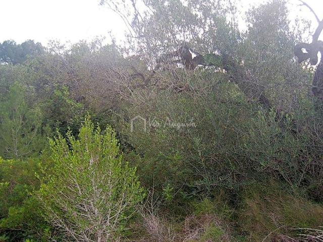 Terreno en venta en l'Ametlla de Mar, Tarragona
