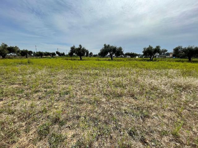 Terreno en venta en Baix Camp, Catalunya