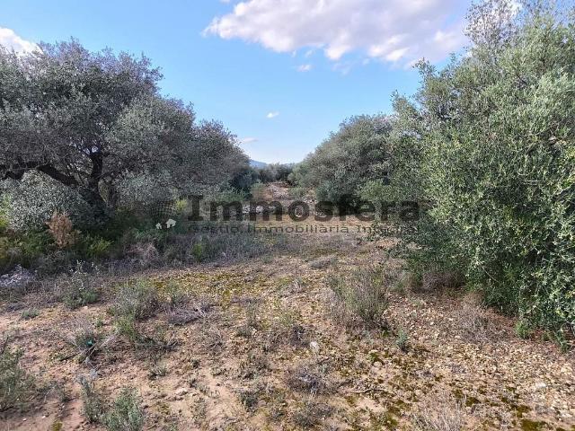 Terreno en venta en Baix Ebre, Catalunya