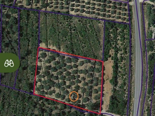 Terreno en venta en Montsià, Catalunya