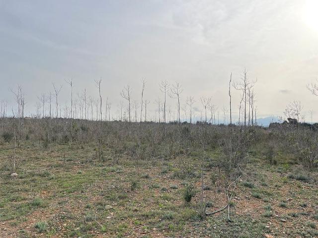 Terreno en venta en Baix Camp, Catalunya