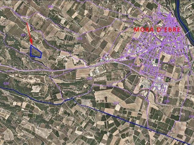 Terreno en venta en Móra d'Ebre, Tarragona