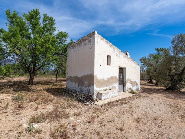 Terreno en venta en Montsià, Catalunya