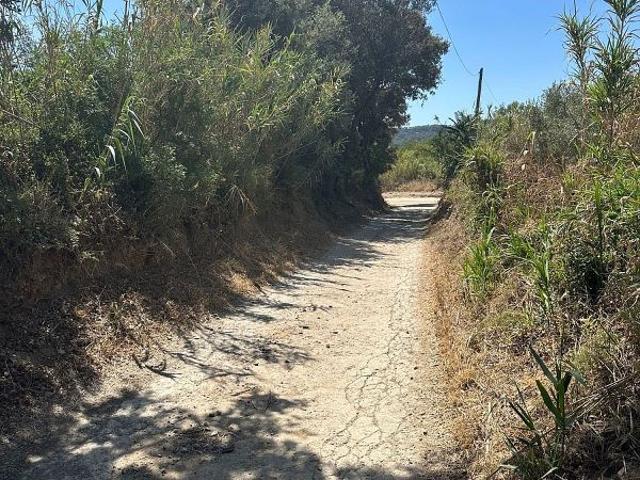 Terreno en venta en Baix Camp, Catalunya