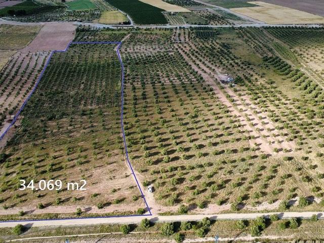 Terreno en venta en Garrigues, Catalunya